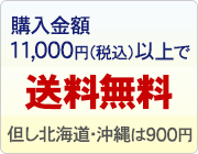 購入金額11,000円以上で送料無料 但し北海道・沖縄は900円
